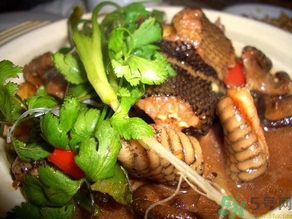 蛇肉上的寄生蟲怎么去除？蛇肉上有寄生蟲怎么辦？