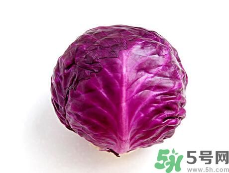 紫甘藍(lán)是涼性嗎？紫甘藍(lán)是涼性還是熱性？