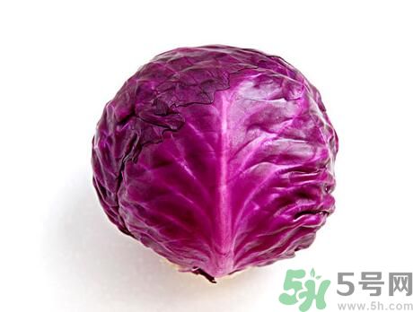 紫甘藍(lán)是發(fā)物嗎？紫甘藍(lán)是不是發(fā)物？