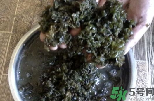 地皮菜可以和絲瓜一起吃嗎?地皮菜能和絲瓜同吃嗎? 地皮菜可以和絲瓜一起吃嗎?地皮菜能和絲瓜同吃嗎?