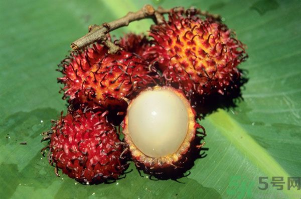 荔枝和牛奶能一起吃嗎？荔枝和牛奶一起吃好不好？