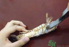 剝蝦神器怎么用？剝蝦神器在哪里買(mǎi)？