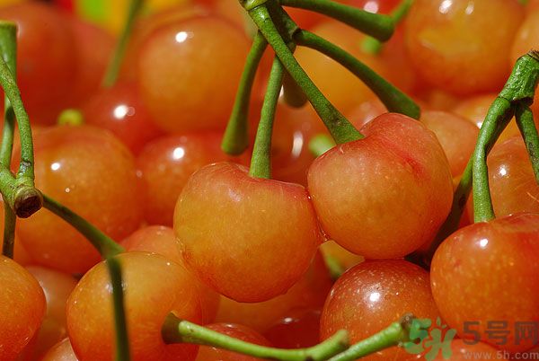 櫻桃核有毒嗎？吃櫻桃核會中毒嗎？