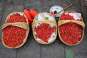 櫻桃核吞下去了怎么辦？不小心吃了櫻桃核怎么辦？