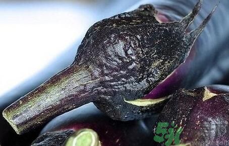 茄子把有什么功效？茄子蒂有什么功效？