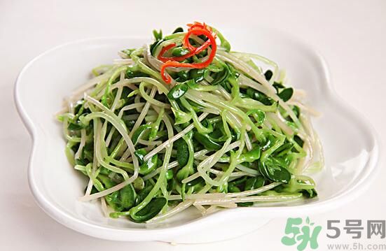 吃綠豆芽可以減肥嗎？吃綠豆芽有減肥作用嗎?