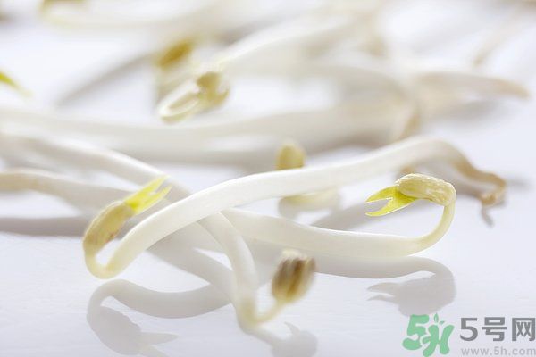 綠豆芽是涼性的嗎？綠豆芽是涼性還是熱性？