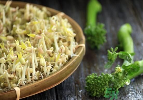 怎樣自己發(fā)綠豆芽？綠豆芽怎樣自己發(fā)？