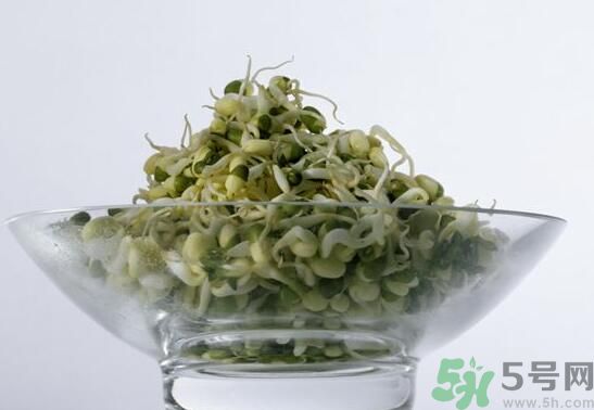 怎樣自己發(fā)綠豆芽？綠豆芽怎樣自己發(fā)？