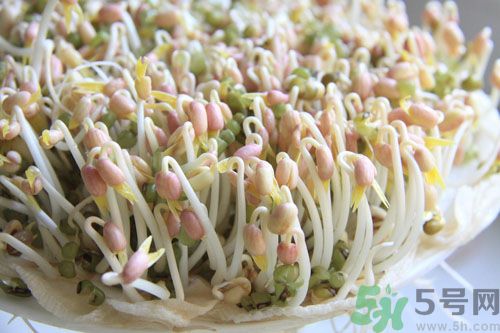 紅豆可以發(fā)豆芽嗎？紅豆芽可以吃嗎？