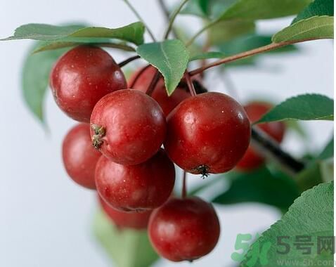 山楂可以生吃嗎？生吃山楂好嗎？