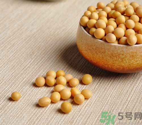 黃豆不能和什么一起吃?黃豆和什么相克 黃豆不能和什么一起吃?黃豆和什么相克