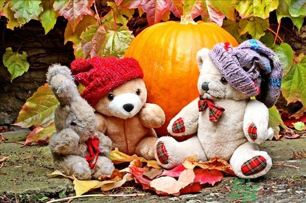 南瓜可以和西紅柿一起吃嗎 ？南瓜可以和番茄一起吃嗎？