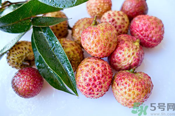 桂圓是荔枝嗎？桂圓和荔枝有什么區(qū)別？