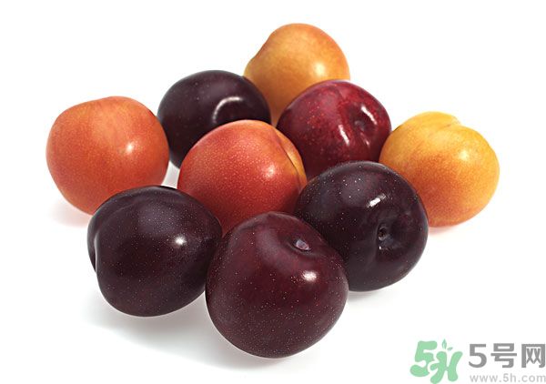 灰子孕婦可以吃嗎？灰子能不能吃？