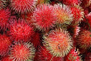 吃紅毛丹上火嗎？吃紅毛丹上火怎么辦？