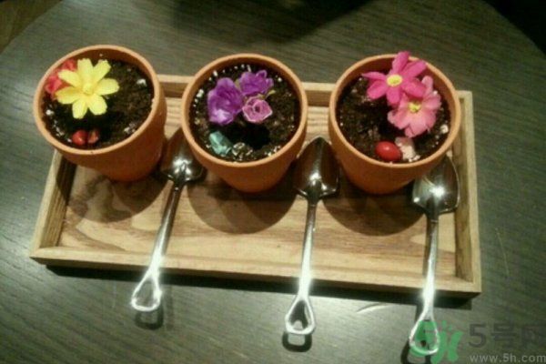 盆栽冰淇淋哪里買(mǎi)？盆栽冰淇淋怎么做？