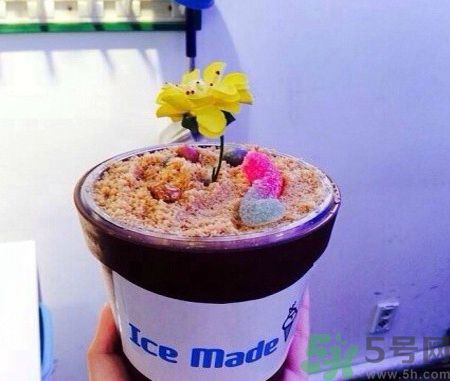 盆栽冰淇淋哪里買(mǎi)？盆栽冰淇淋怎么做？
