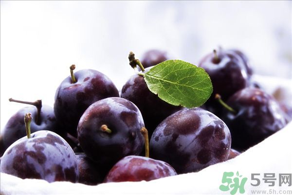 灰子和李子有什么區(qū)別？灰子的功效與禁忌