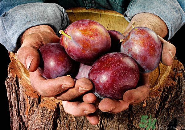 灰子和李子有什么區(qū)別？灰子的功效與禁忌