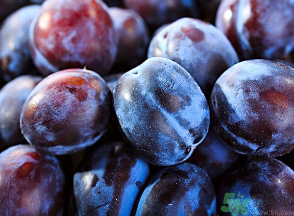 灰子和李子有什么區(qū)別？灰子的功效與禁忌