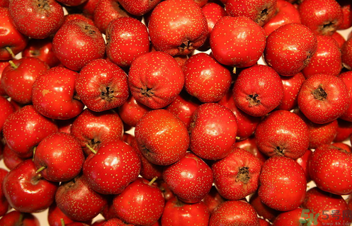 貧血可以吃山楂嗎？貧血能吃山楂嗎？