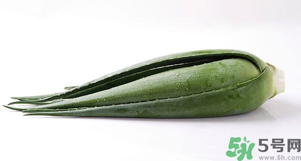 經(jīng)期可以吃蘆薈嗎？經(jīng)期吃蘆薈會肚子痛嗎？