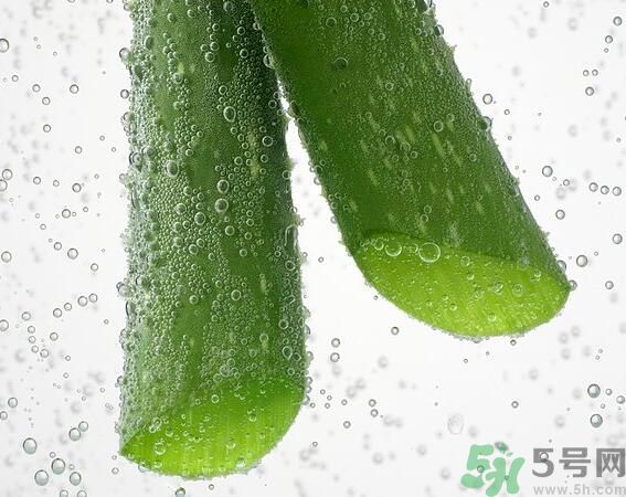 夏天吃蘆薈可以降火嗎？夏天吃蘆薈能清火嗎？