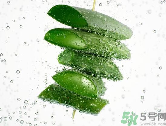 蘆薈怎么榨汁好喝？蘆薈可以榨汁嗎？