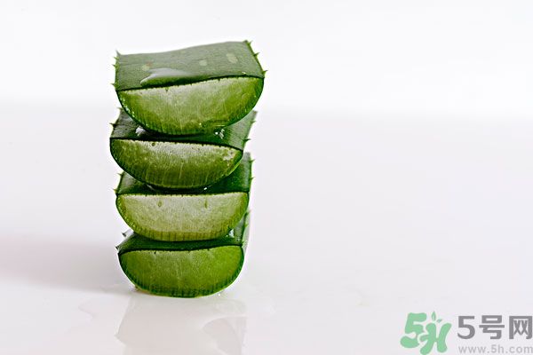 蘆薈是發(fā)物嗎？蘆薈是不是發(fā)物？