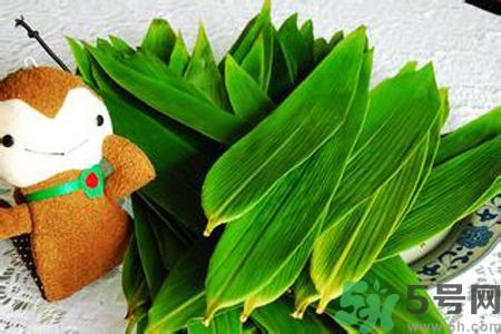 粽子葉有黑點(diǎn)可以包粽子嗎？粽葉有黑點(diǎn)是怎么回事？