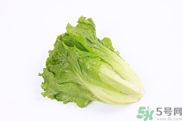 小孩可以吃生菜嗎？小孩吃生菜好嗎？