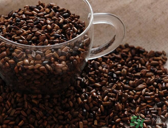 決明子是涼性的嗎？決明子是涼性還是熱性？