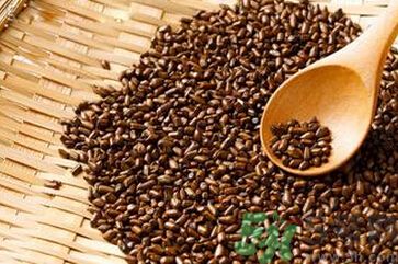 決明子是涼性的嗎？決明子是涼性還是熱性？