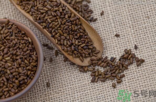 決明子泡茶喝可以減肥嗎？決明子泡茶喝有減肥效果嗎？