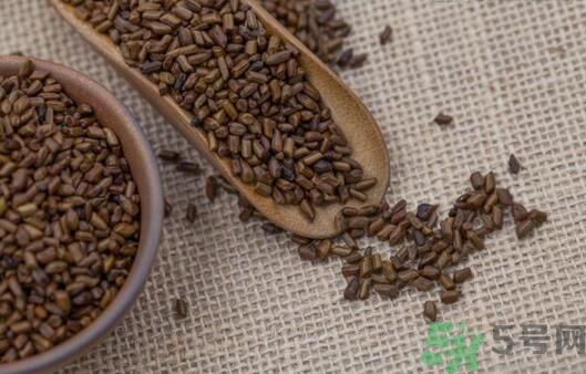 決明子泡茶加什么好？決明子和什么一起泡好？