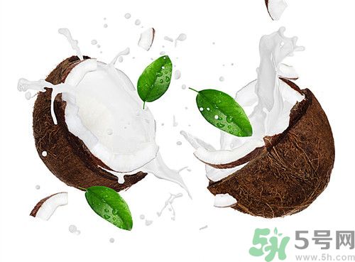 椰子殼里的白瓤能吃嗎?椰子殼里的白瓤是什么 椰子殼里的白瓤能吃嗎?椰子殼里的白瓤是什么