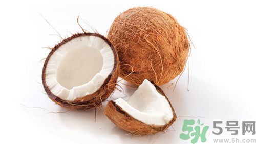 椰子肉可以生吃嗎?椰子肉的營(yíng)養(yǎng)價(jià)值 椰子肉可以生吃嗎?椰子肉的營(yíng)養(yǎng)價(jià)值