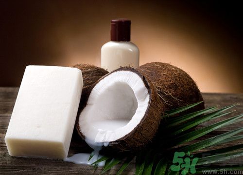 椰子汁有什么營養(yǎng)?椰子汁的功效與副作用 椰子汁有什么營養(yǎng)?椰子汁的功效與副作用