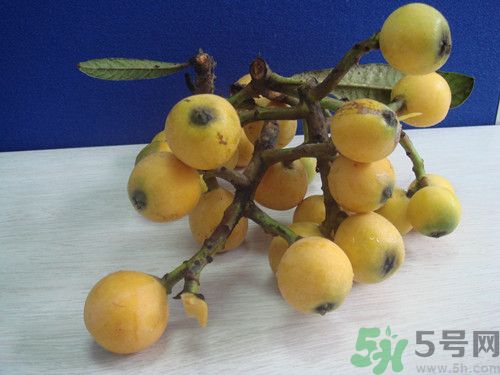 枇杷沒熟怎么辦?枇杷沒熟可以吃嗎 枇杷沒熟怎么辦?枇杷沒熟可以吃嗎