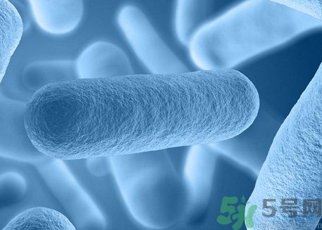 超級細(xì)菌感染后有什么癥狀?怎么預(yù)防超級細(xì)菌感染? 超級細(xì)菌感染后有什么癥狀?怎么預(yù)防超級細(xì)菌感染?