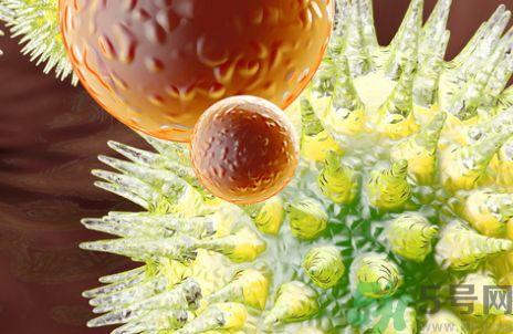 美國超級細(xì)菌現(xiàn)身 超級細(xì)菌能抵抗所有抗生素嗎? 美國超級細(xì)菌現(xiàn)身 超級細(xì)菌能抵抗所有抗生素嗎?