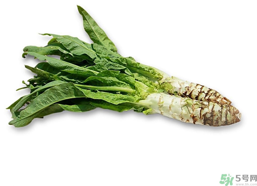 新鮮的萵筍怎么保存？削皮的萵筍怎么保存？