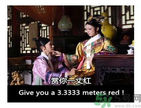 什么是蜀葵？蜀葵是一丈紅嗎？