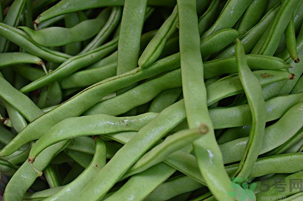 四季豆沒(méi)炒熟有毒嗎？四季豆沒(méi)熟吃了會(huì)怎樣？