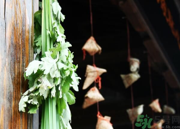 艾葉有什么保健作用？艾葉怎么使用？