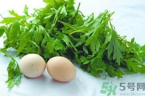 艾葉有什么保健作用？艾葉怎么使用？