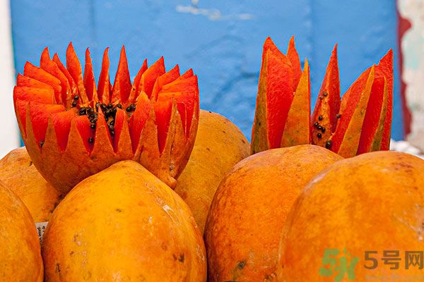 木瓜是水果還是蔬菜？青木瓜是水果嗎？