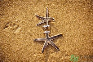 我被別人當備胎怎么辦？什么人最容易成為備胎？