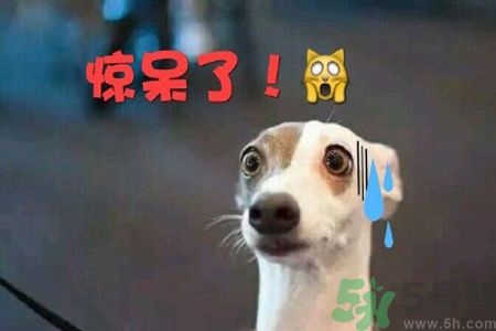 女子被5枚戒指咬手是什么原因 女子被5枚戒指咬手是什么原因